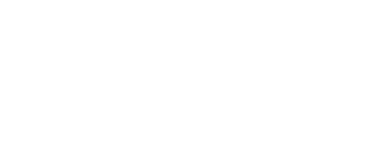 the view logo
