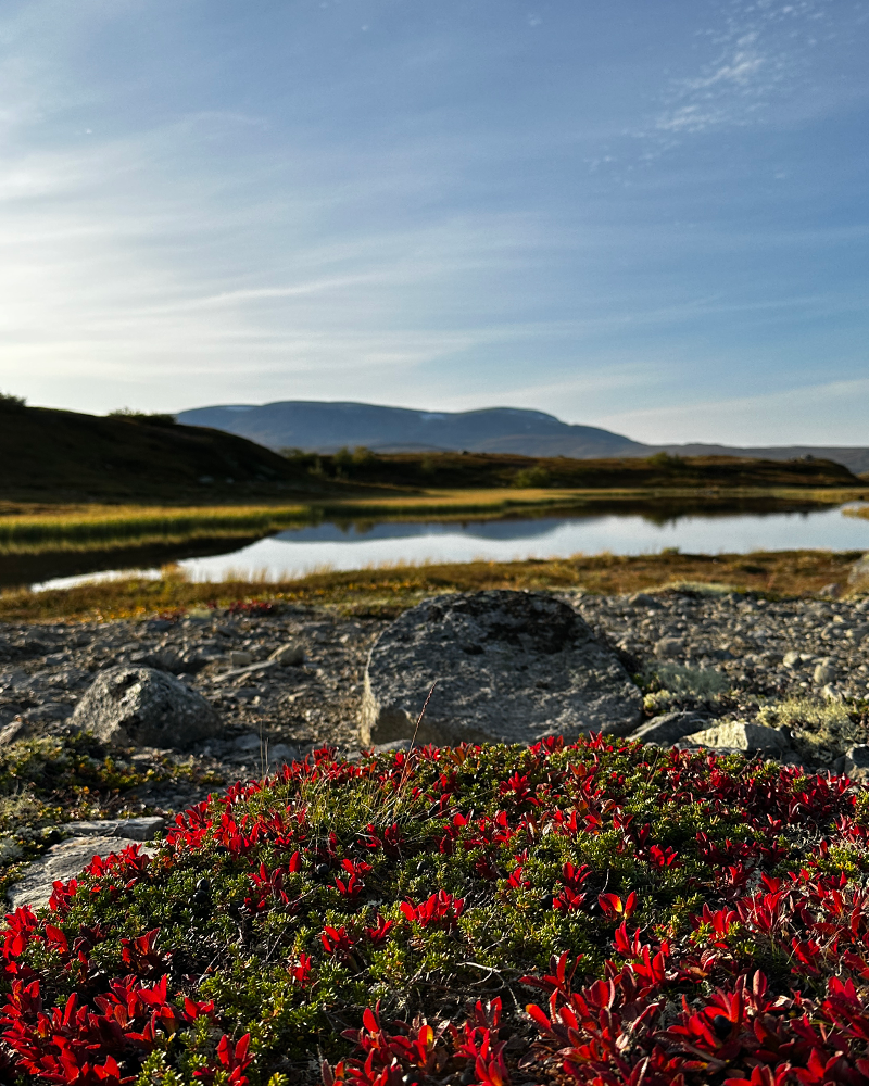 Geilo12